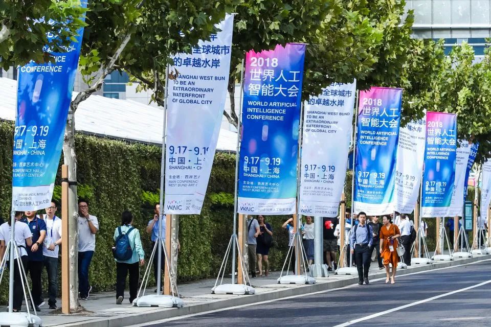 杭州四小龙崛起：揭秘科技新力量崛起之路