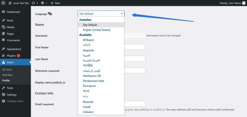 WordPress Polyglots 团队：全球语言志愿者如何推动平台国际化