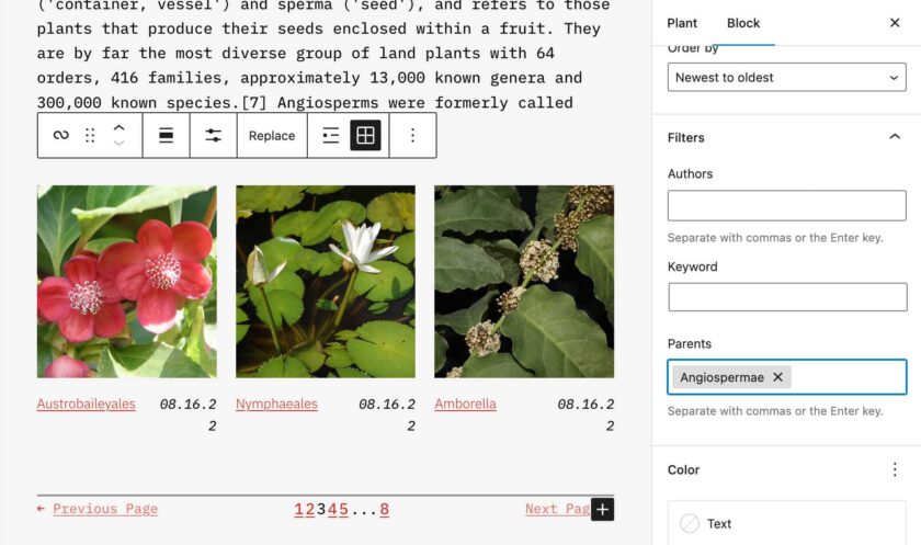 WordPress 6.1 全新功能详解：WebP转换、流体排版与模板系统升级