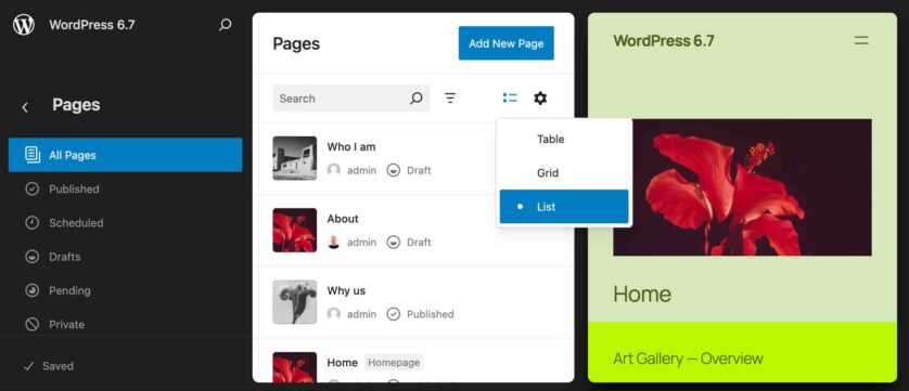 WordPress 6.7 新功能深度解析：缩小模式与元框等核心改进