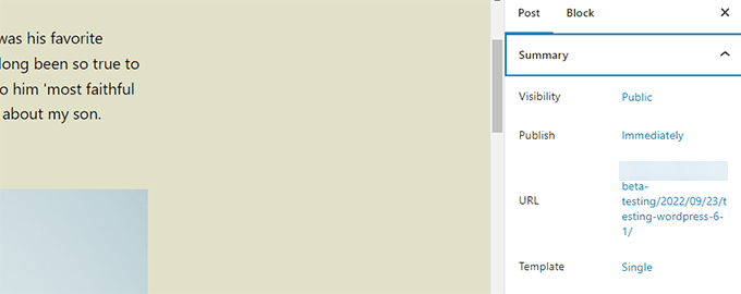 WordPress 6.1全新功能图文详解：默认主题及编辑器改进