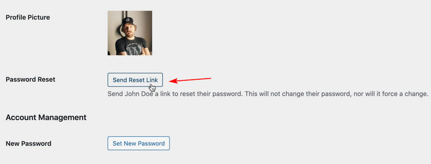 WordPress 5.7+ 新功能详解手动发送重置密码链接