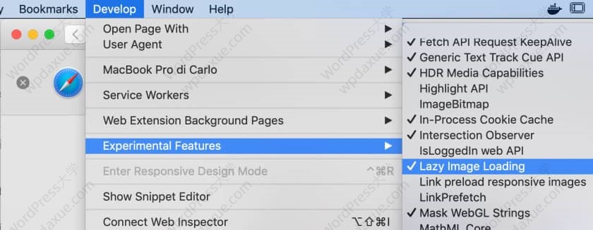 WordPress 5.7核心新功能详解：延迟加载HTTPSUI更新API等亮点解析