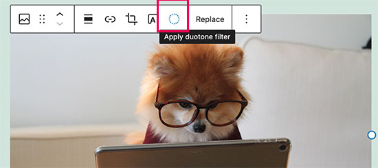WordPress 5.8全新功能详解：模板编辑器与WebP图像支持