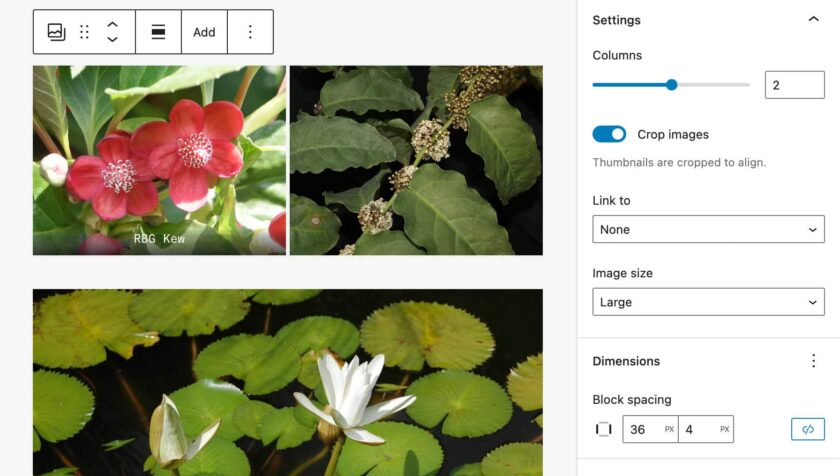 WordPress 6.1 全新功能详解：WebP转换、流体排版与模板系统升级