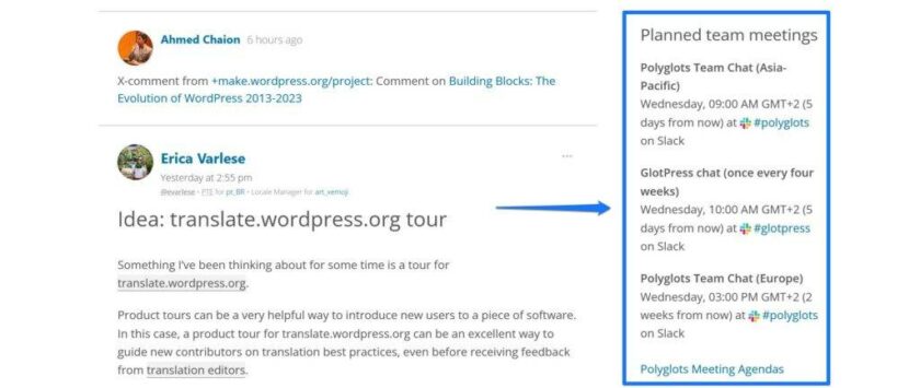 WordPress Polyglots 团队：全球语言志愿者如何推动平台国际化