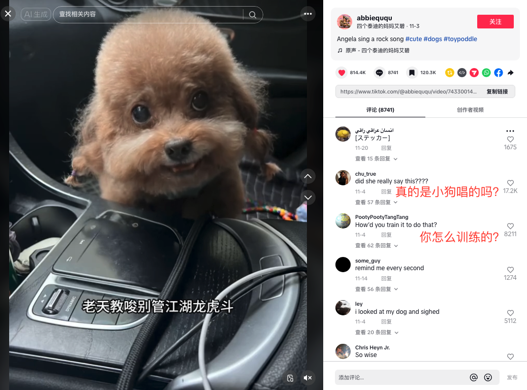 AI猫说唱爆火TikTok 萌宠AI对口型神器走红