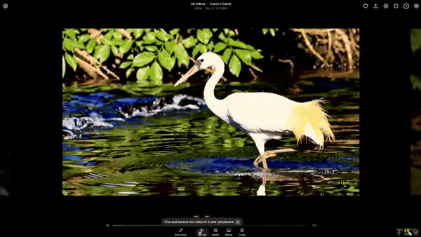 OpenAI发布Sora Turbo视频模型 会员免费体验服务器挤爆