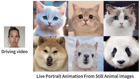 AI猫说唱爆火TikTok 萌宠AI对口型神器走红