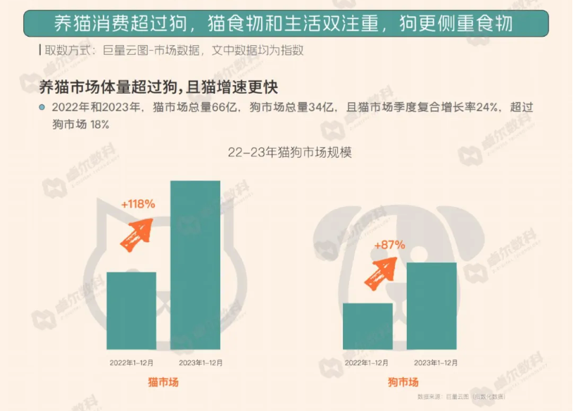 AI猫说唱爆火TikTok 萌宠AI对口型神器走红