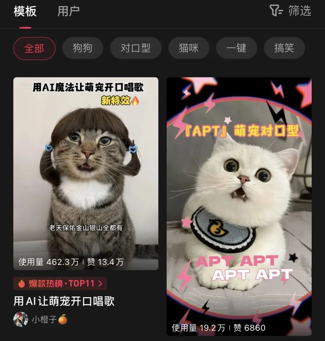 AI猫说唱爆火TikTok 萌宠AI对口型神器走红