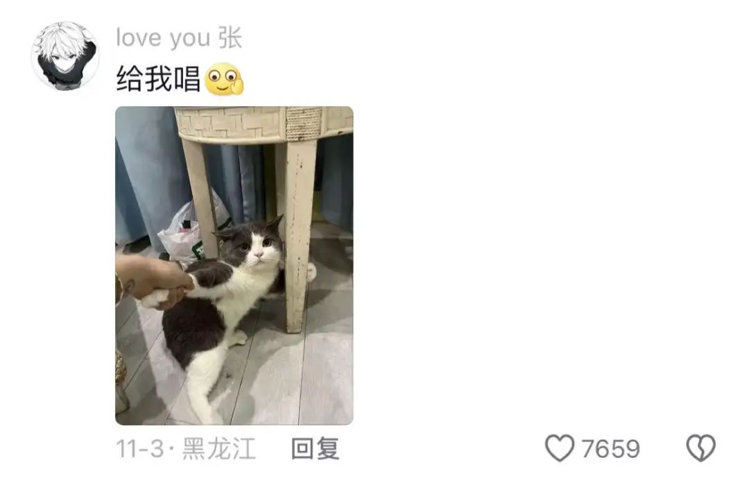 AI猫说唱爆火TikTok 萌宠AI对口型神器走红