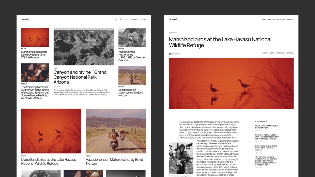 WordPress 6.7 新主题 Twenty Twenty-F​​ive 预览 - Complex