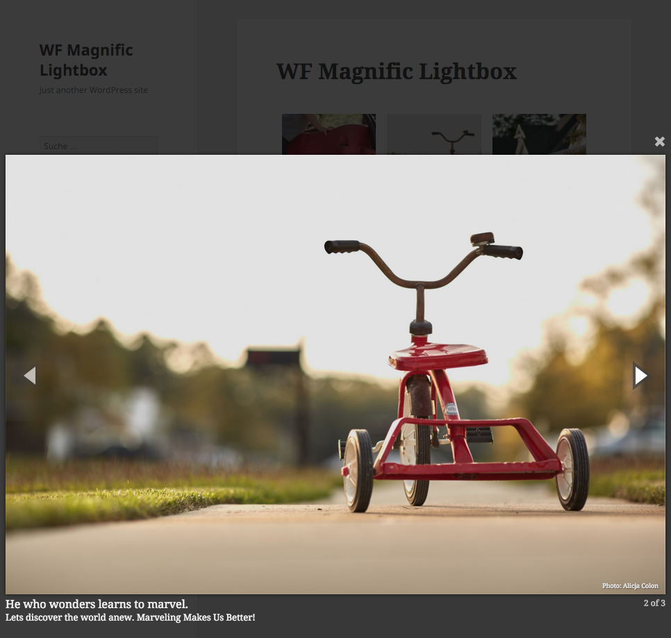 WordPress WF Magnific Lightbox 响应式图片灯箱插件推荐