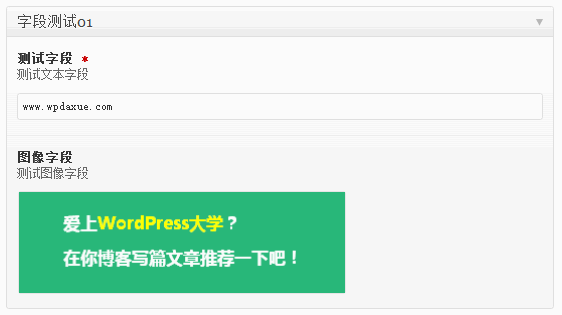 WordPress Advanced Custom Fields 插件教程：自定义字段类型与调用方法