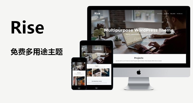 WordPress免费多用途主题Rise功能全面网站建设优选