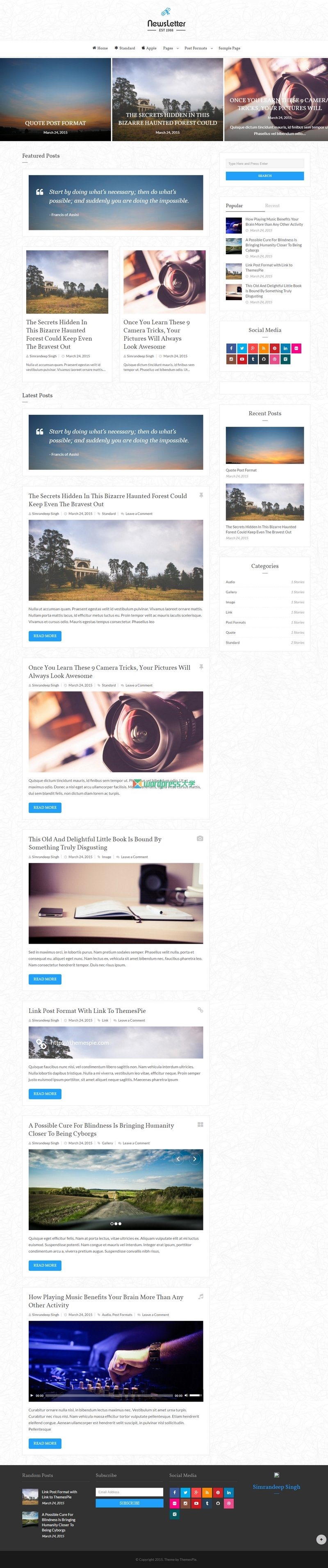 Newsletter免费WordPress主题 高速定制博客设计