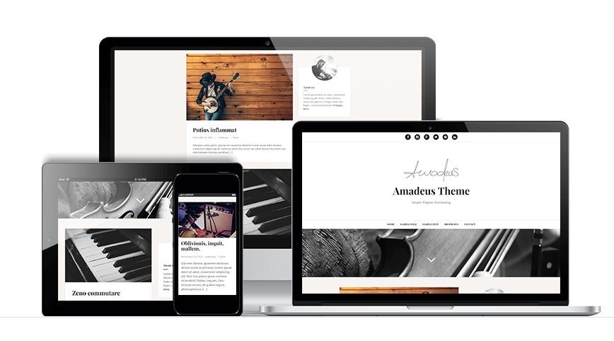 WordPress Amadeus免费博客主题 响应式设计易定制