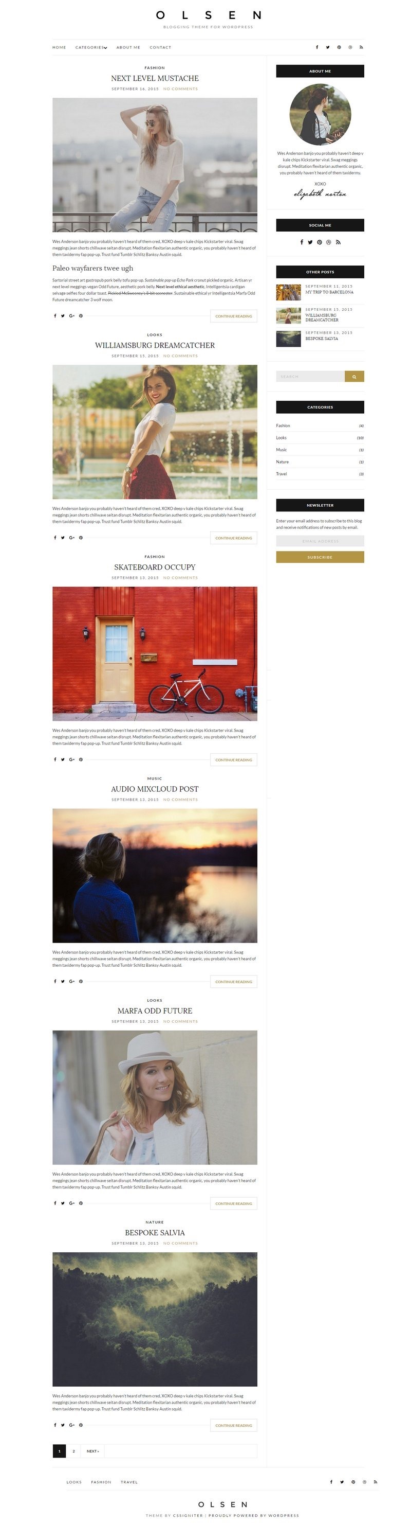 WordPress Olsen Light免费个人博客主题下载及特色介绍