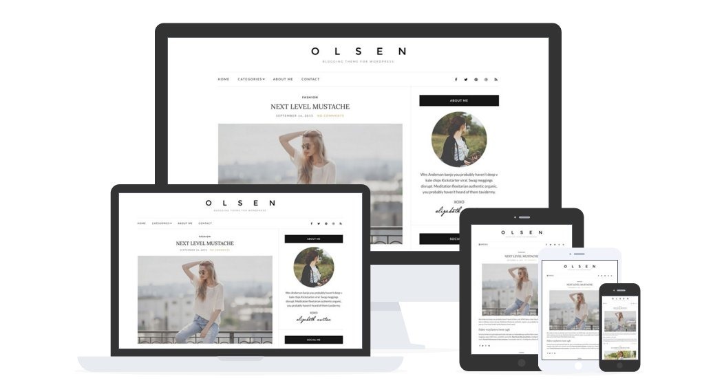 WordPress Olsen Light免费个人博客主题下载及特色介绍