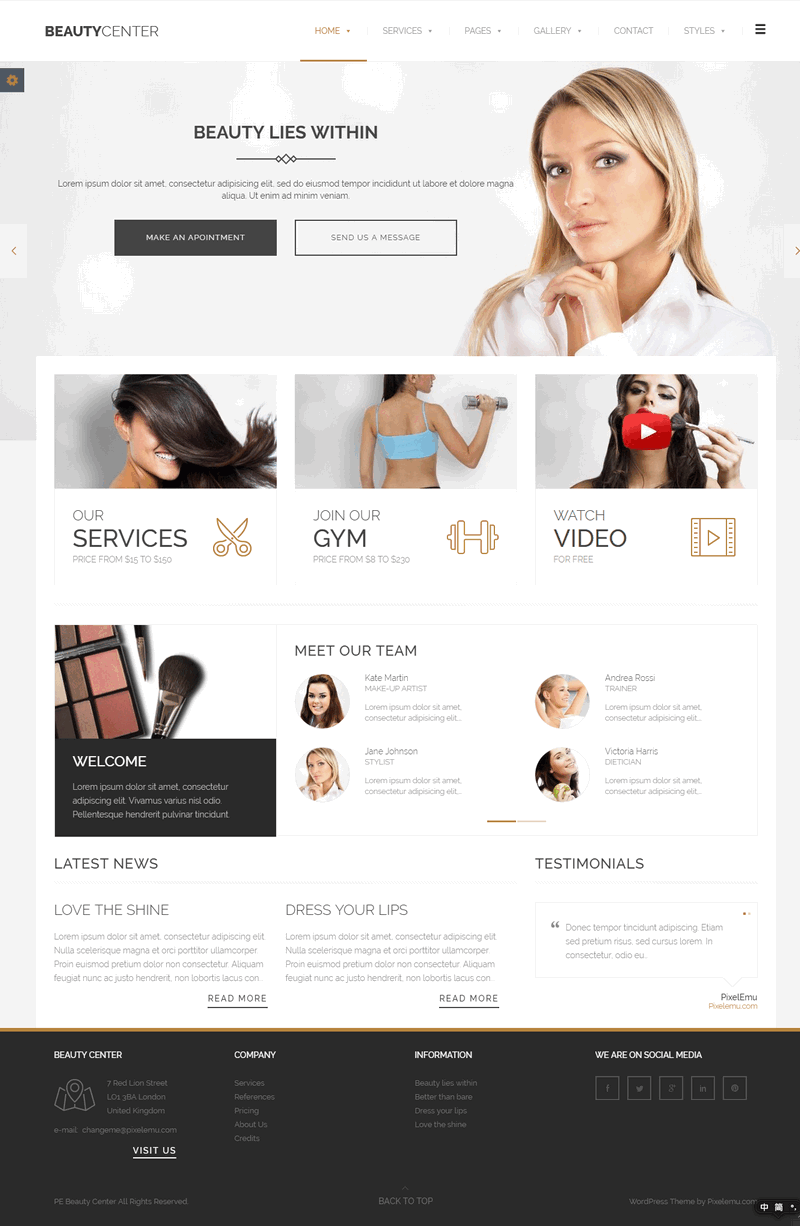 WordPress轻巧现代美容健身中心主题PE Beauty Center