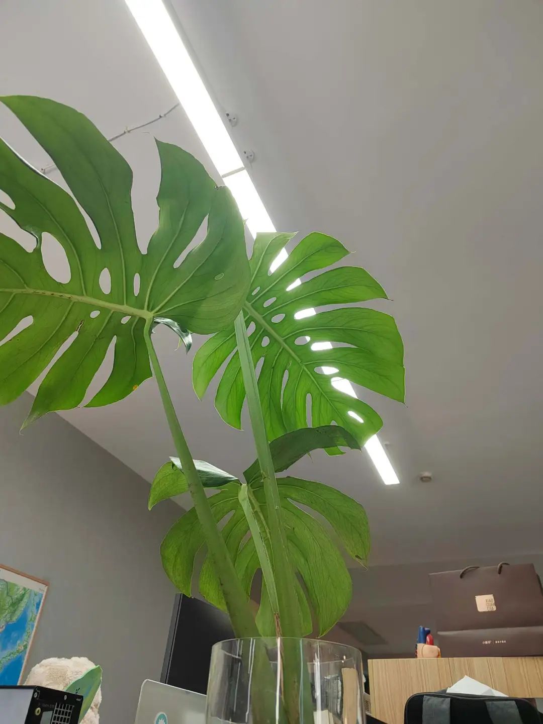 AI算命热潮：赛博安慰剂背后的情绪价值探索