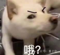 阶跃星辰开源全球最大参数量30B开源视频模型Step-Video-T2V