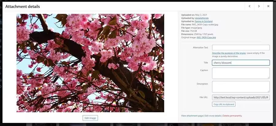 WordPress网站图片管理16个常见问题及解决方案