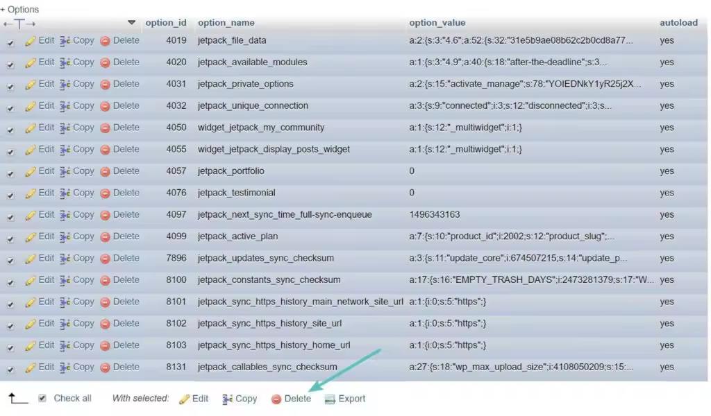 清理WordPress wp_options表自动加载数据优化教程