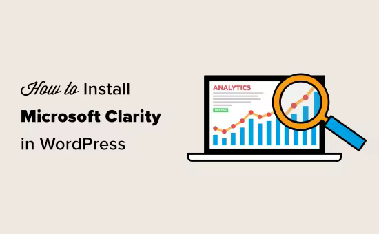 WordPress安装微软Clarity分析工具图文教程