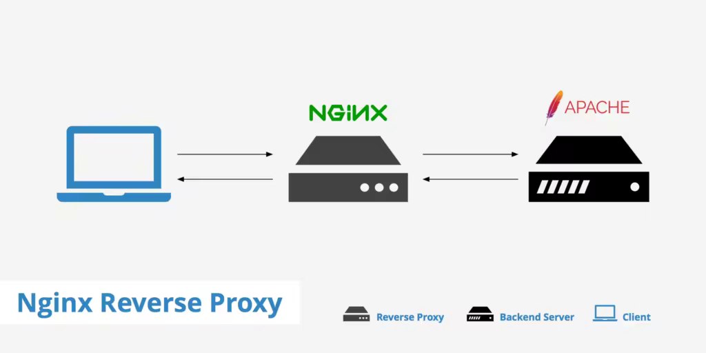如何配置Nginx和Apache作为反向代理