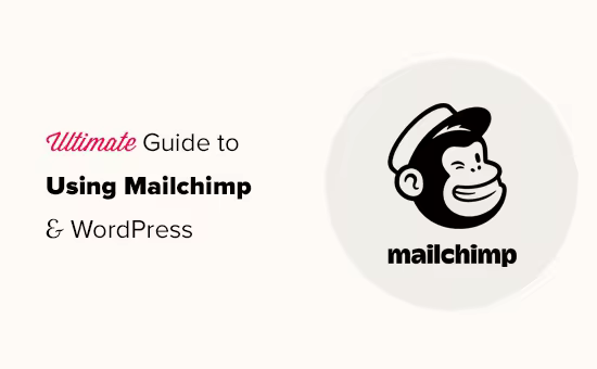 WordPress外贸网站Mailchimp邮件订阅插件使用教程