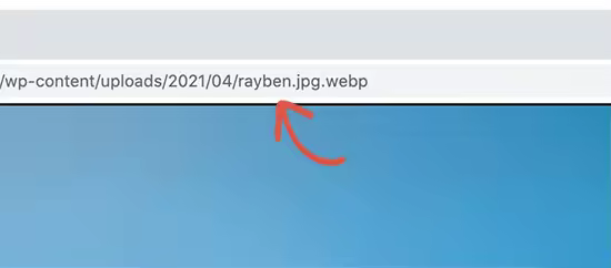 WordPress网站使用WebP格式图片教程