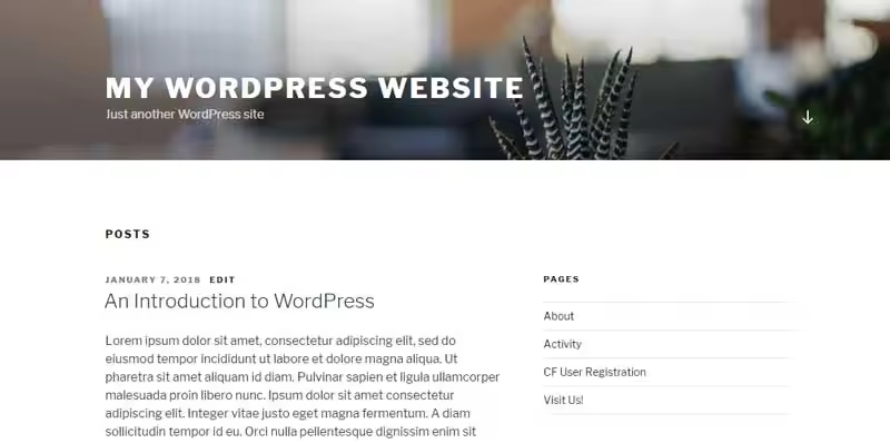 WordPress自定义首页教程：打造个性化网站首页