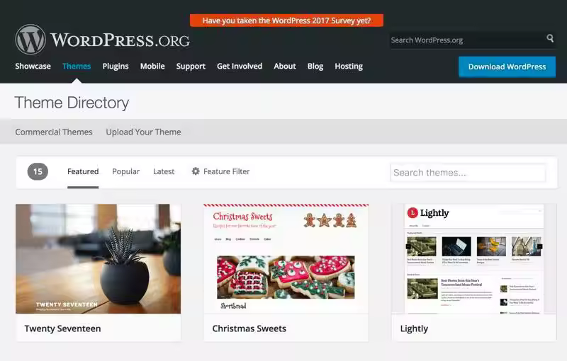 WordPress主题详解与精选技巧