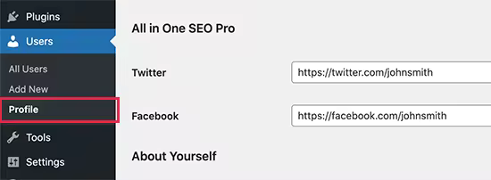 WordPress WooCommerce Schema结构化数据标记添加教程
