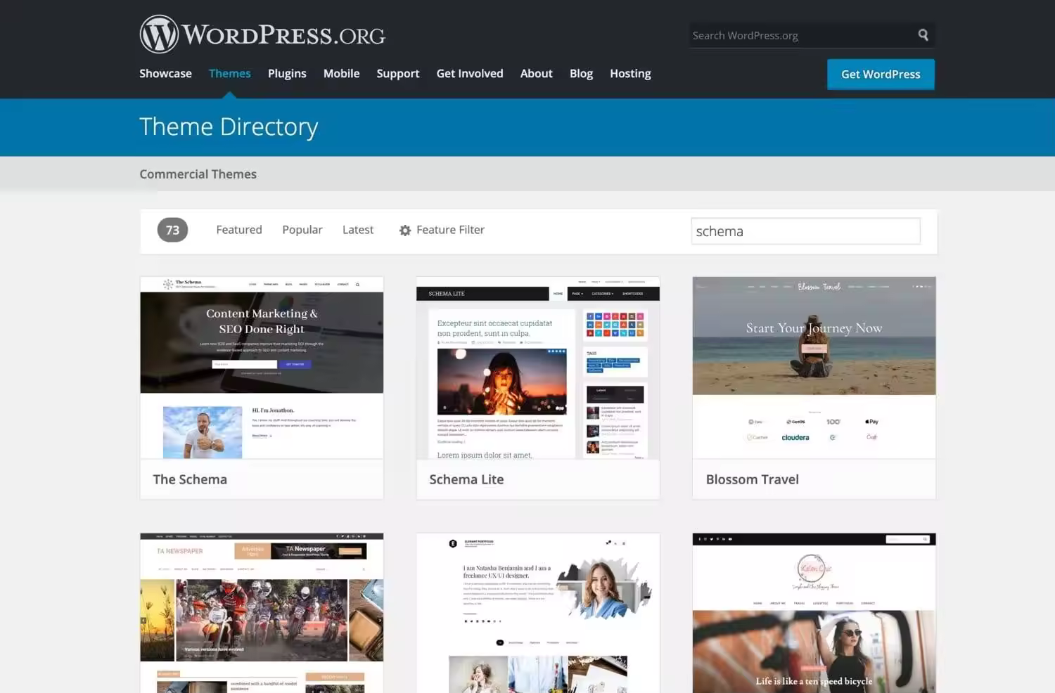 WordPress WooCommerce Schema结构化数据标记添加教程