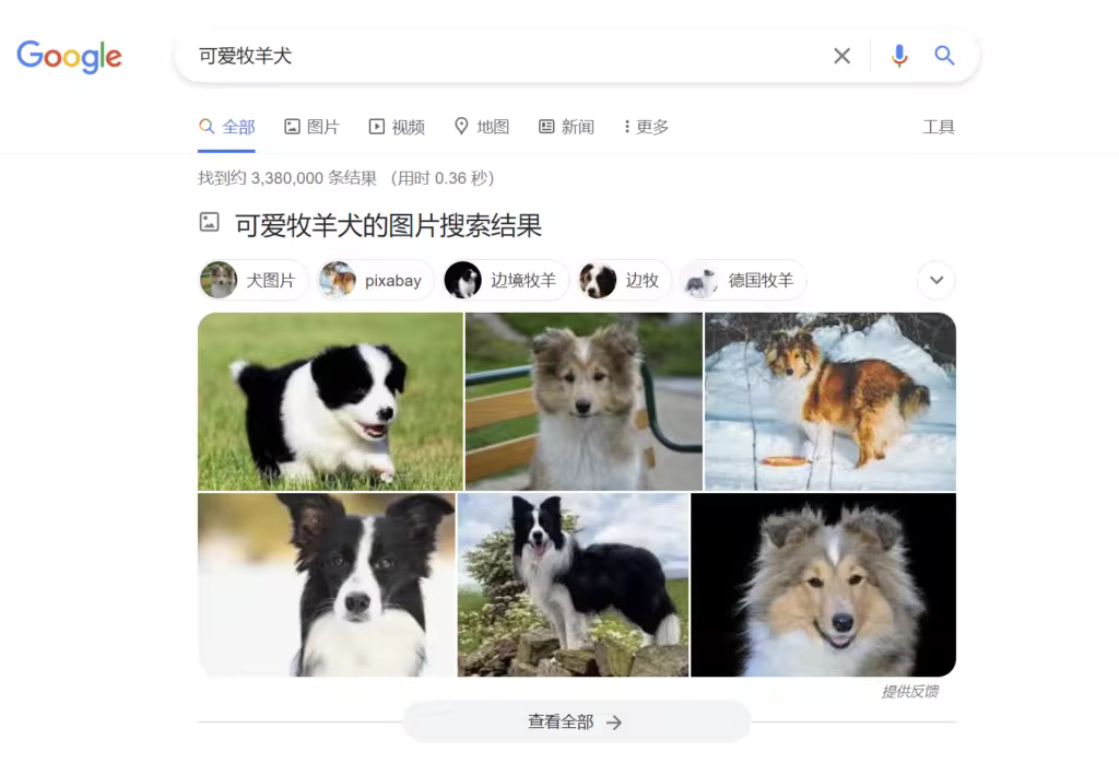 谷歌SERP特征详解及优化策略