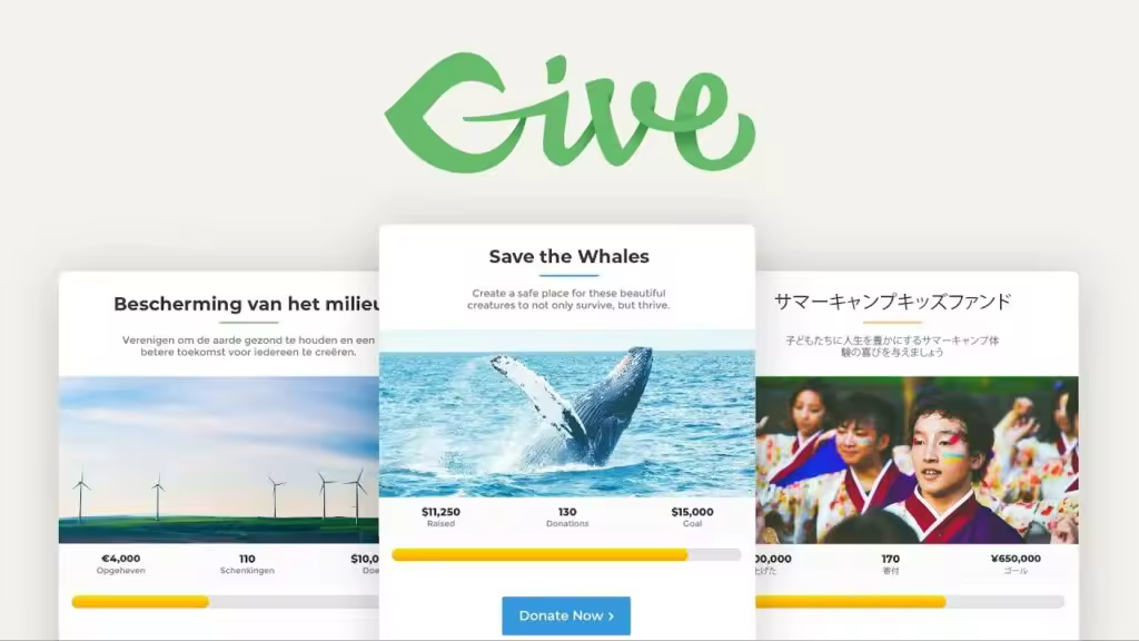 Liquid Web收购GiveWP WordPress捐赠插件 实现超10亿筹款里程碑