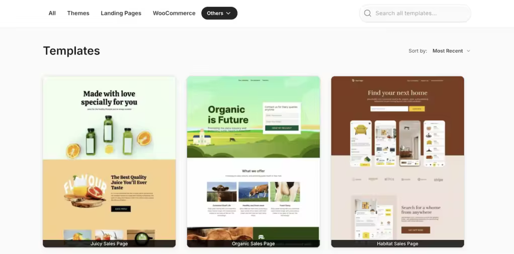 SeedProd评测：打造专业WordPress网站的全能插件工具
