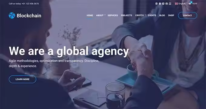 WordPress免费与付费主题选择指南