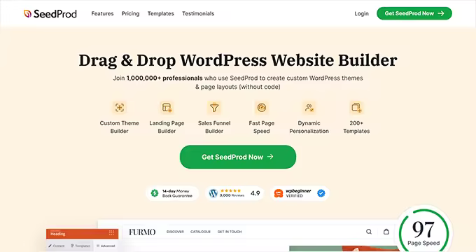 WordPress免费与付费主题选择指南
